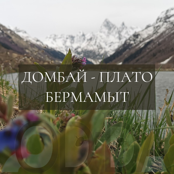 Домбай - плато Бермамыт Домбай - плато Бермамыт