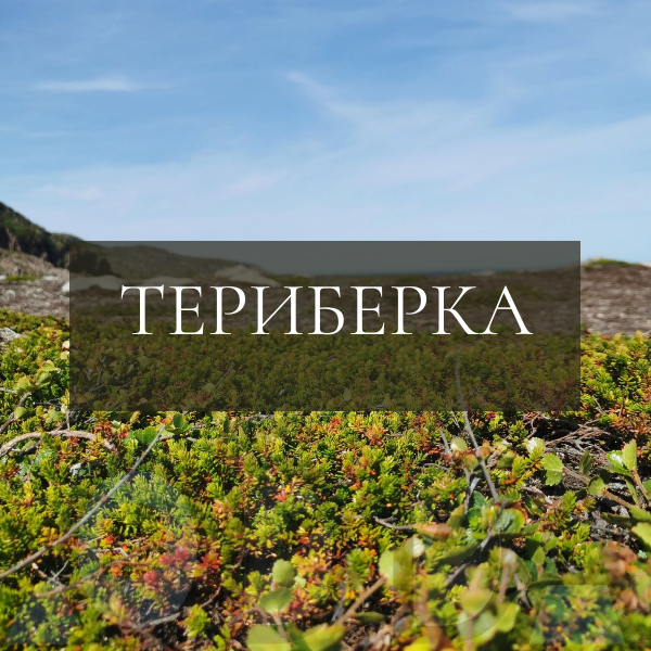 Летняя Териберка Летняя Териберка