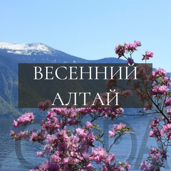 Весенний Алтай Весенний Алтай